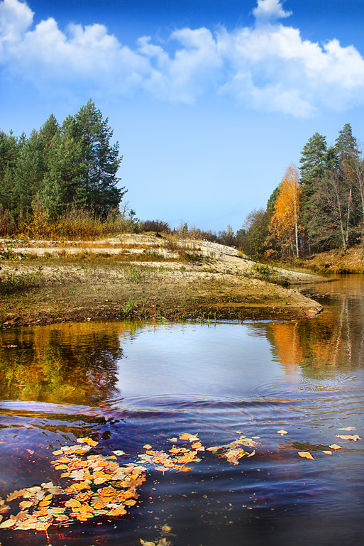 Проплывающая осень Нажмите на изображение, чтобы посмотреть его на полном экране.